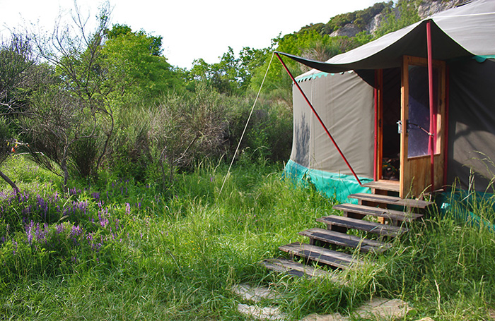 Yourte chamanique entourée de nature sauvage à Sivergues – Lieu du stage Corps Sonore avec Oasis Natcham au printemps 2026