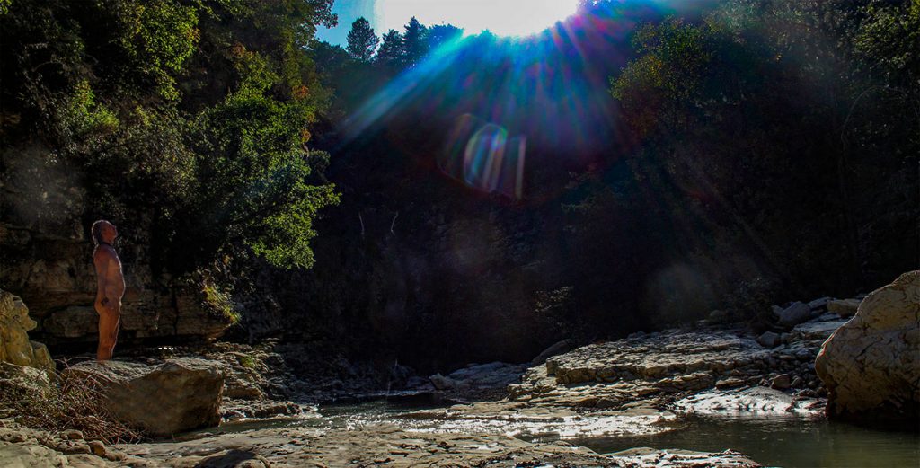 Lever de soleil sur la forêt sauvage – Oasis Natcham