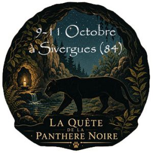 stage panthere noire